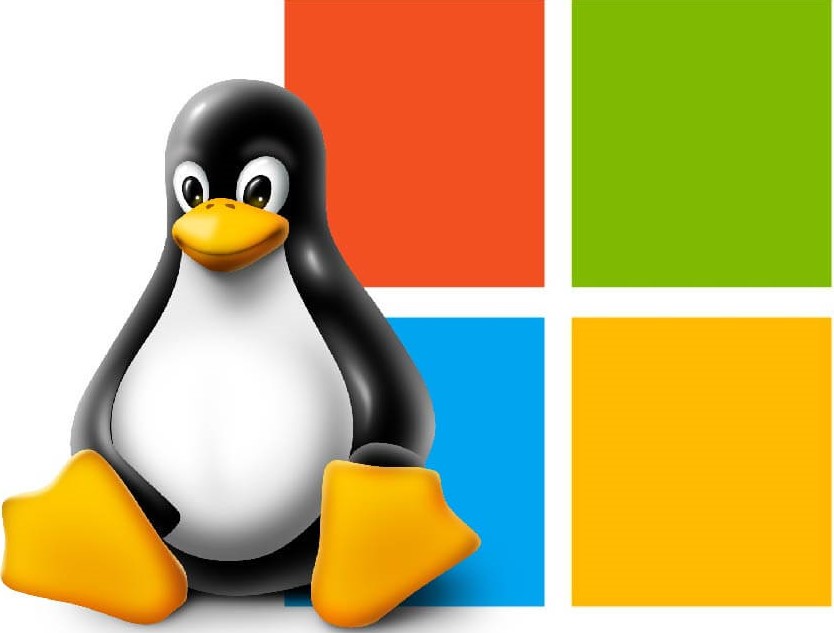 ОС Windows и Linux