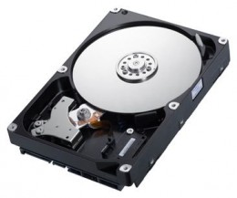 Samsung SpinPoint F4 HDD 3,5 320GB 7200rpm SATAII 16MB ST320DM001 HD322GJ