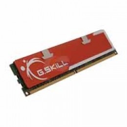 4GB DDR2 (2x2Gb) 800 MHz G.Skill PQ (F2-6400CL5D-4GBPQ)