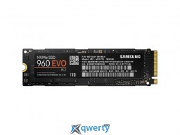 Samsung 960 Evo series 1TB M.2 PCIe 3.0 x4 3D V-NAND MLC (MZ-V6E1T0BW)