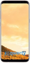 Samsung Galaxy S8+ (SM-G955F) (Gold (SM-G955FZDDSEK))