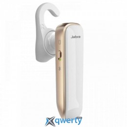 Jabra BOOST Gold Bluetooth 4.0 + Dual USB Car Charger (100-92320002-60)
