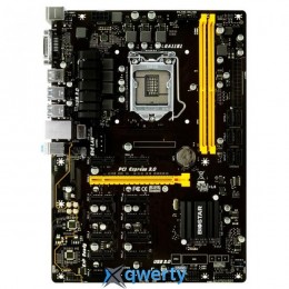 BIOSTAR TB250-BTC Pro (s1151, Intel B250, PCI-Ex16)