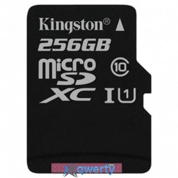 Kingston 256GB microSDXC Class 10 UHS-I (SDC10G2/256GBSP)
