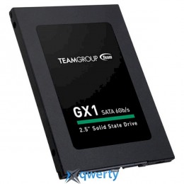 TEAM GX1 120GB SATA (T253X1120G0C101) 2.5