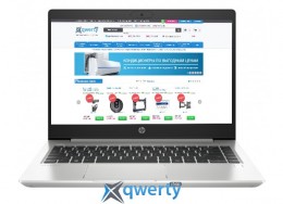 HP ProBook 455 G7 (7JN02AV_V8) Pike Silver