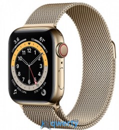 Apple Watch Series 6 GPS + Cellular, 40mm Gold Stainless Steel Case with Gold  Milanese Loop  M06W3