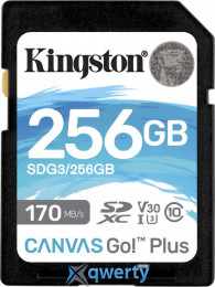 SD Kingston Canvas Go! Plus 256GB UHS-I U3 V30 (SDG3/256GB)