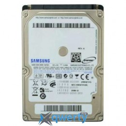 Samsung SATA 320GB SpinPoint (HM321HI) 2.5