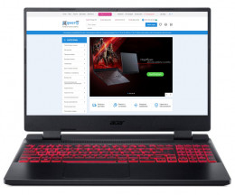 Acer Nitro 5 AN515-46 (NH.QGYEP.002) 32GB EU