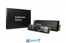 Samsung PM9A3 960GB 2.5 U.2 NVMe (MZQL2960HCJR-00A07)