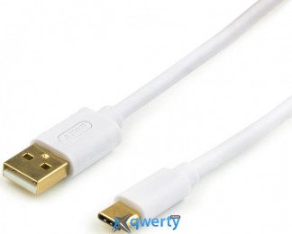USB-A 2.0 (M) - USB-C (M) 0.8m Atcom (17425) White