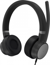 Lenovo Go Wired ANC (4XD1C99223)