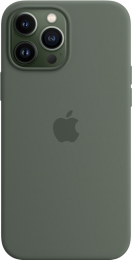 Silicone Case with Animation MagSafe iPhone 13 Pro Eucalyptus (Copy)