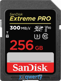 SD SanDisk Extreme PRO 256GB Class 10 V30 (SDSDXDK-256G-GN4IN)