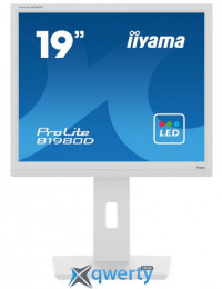 iiyama B1980D-W5 White