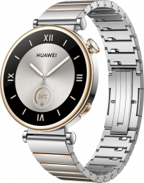 Huawei Watch GT 4 41mm Elite Silver Steel (55020BHY)