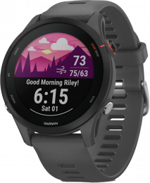 Garmin Forerunner 255 | 46mm Slate Gray (010-02641-00/10) EU
