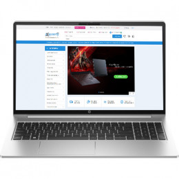 HP ProBook 455 G10 (719F5AV_V4) Pike Silver