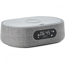 HARMAN/KARDON Citation Oasis FM Gray (HKCITAOASISFMGRYEP)