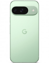 Google Pixel 9 12/128Gb Wintergreen