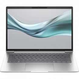 HP EliteBook 645 G11 (8Z3N0AV_V1) Natural Silver