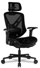 Cougar Speeder Black
