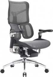 SIHOO Doro S300 Dark Grey (S300-M201)