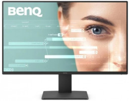 BenQ GW2491E Black (9H.LNHLJ.LBE)
