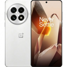 OnePlus 13 12/256GB Arctic Dawn
