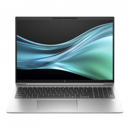 HP EliteBook 860 G11 (A37BSET) Natural Silver