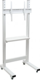 Sector T6 White