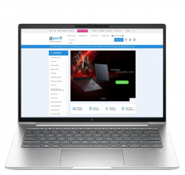 HP EliteBook 665 G11 Silver (8Z714AV) EU