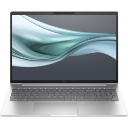 HP EliteBook 660 G11 (A37WVET) Natural Silver