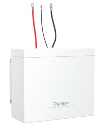 Dyness BOX 2xB4850 48v 100ah, 4.8kwh LiFePo4 (2xB4850)