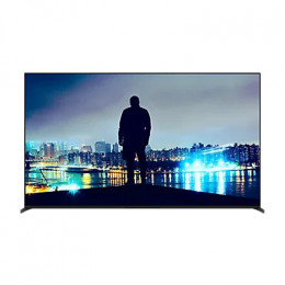 Sony 65XR8M2 EU