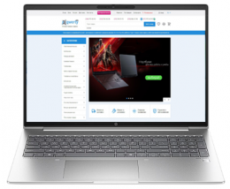 HP ProBook 460 G11 (A38FBET) EU
