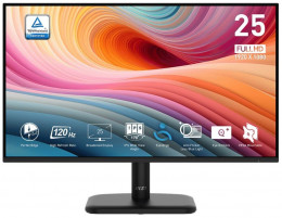 MSI PRO MP251L E2