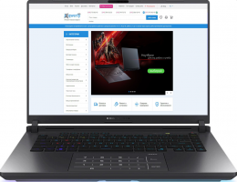 ASUS ROG Strix G16 G615LR Eclipse Gray (G615LR-RV119W, 90NR0LR1-M004D0) EU
