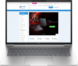 HP Probook 440 G11 (A1LC2UT/8Z4M6AV) Silver EU
