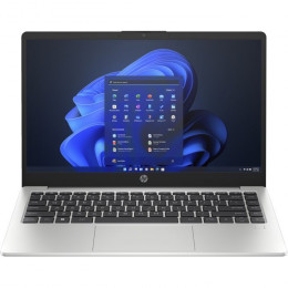 HP 245 G10 (AD1Y0ET) Turbo Silver
