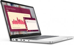 Dell Pro 14 Laptop (BTO601PC14255UA_W11P) Platinum