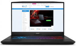 MSI Pulse 17 AI C1VGKG (C1VGKG-012EU) Black EU