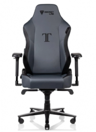 Secretlab TITAN 2020 Prime 2.0 PU Leather Gaming Ash (TT20-PU-Ash)