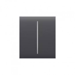 Ajax CenterButton (2-gang) gra