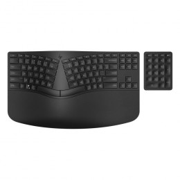 HP 960 BLK Ergonomic split-zone UA Black (7E755AA)