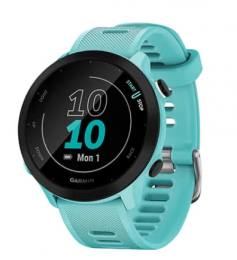 Garmin Forerunner 55 Aqua (010-02562-12/02) EU