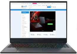 Thunderobot R16 (1NLYB000015) Gray EU