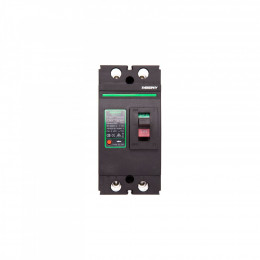 BENY 2P, 250A, 500VDC (NV821389)