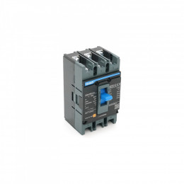 CHINT NXM-125S-3300-100A